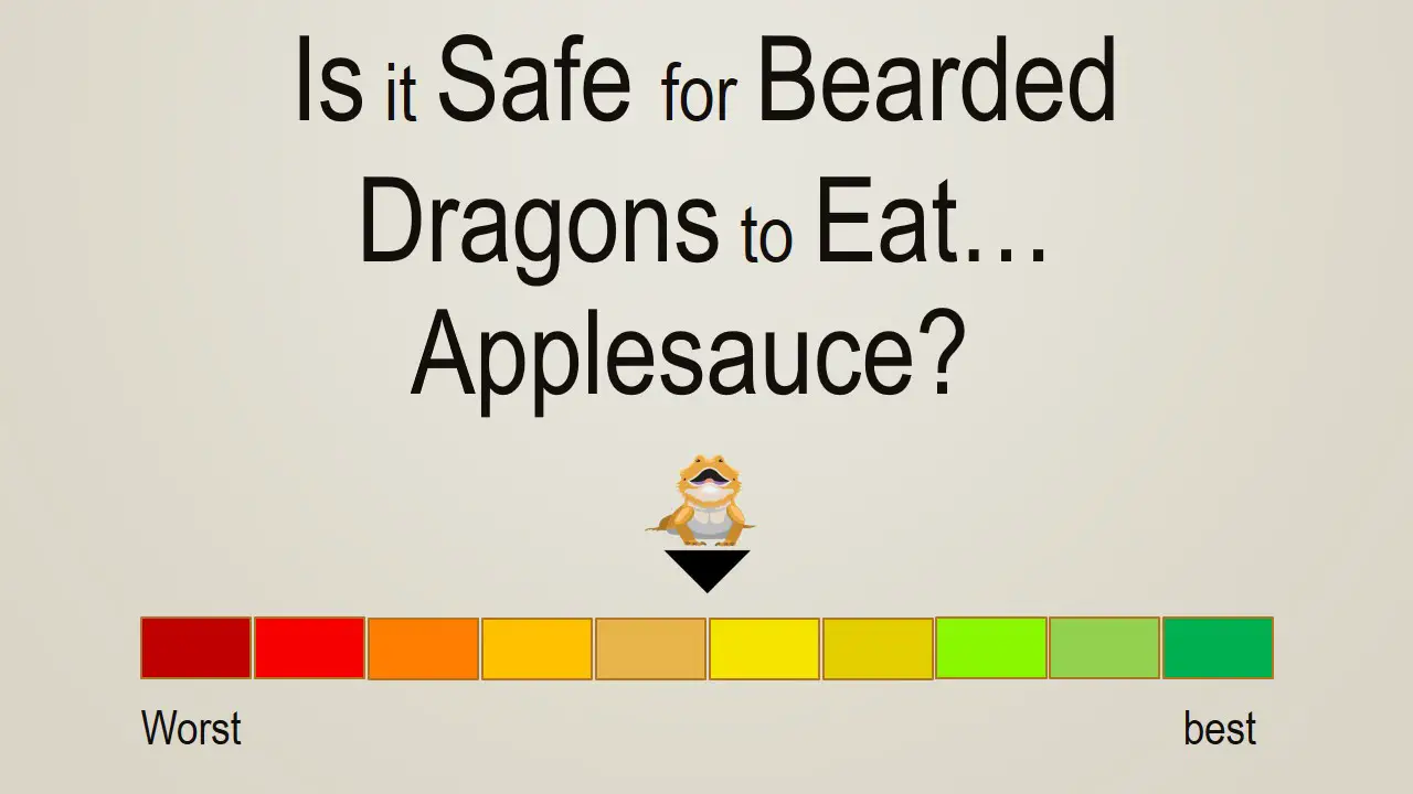 Is it Safe for Bearded Dragons to Eat Applesauce