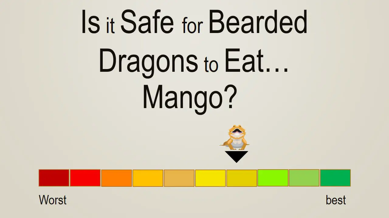 Is it Safe for Bearded Dragons to Eat Mango