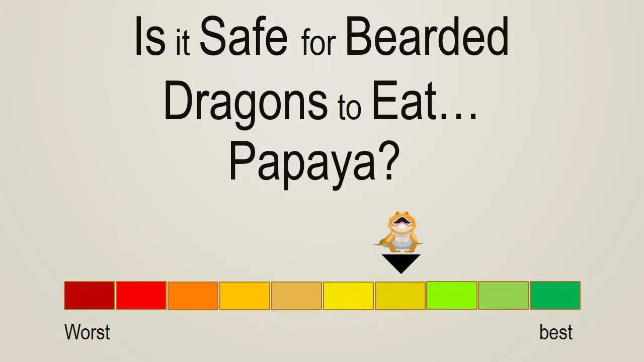 Is it Safe for Bearded Dragons to Eat Papaya