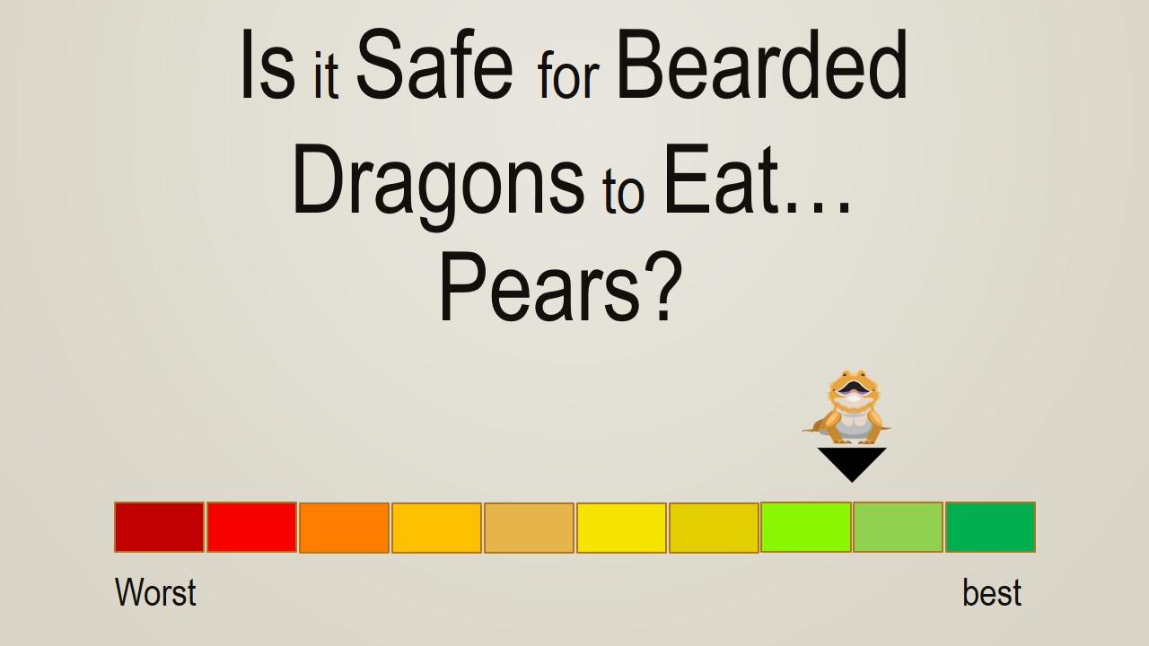 Is it Safe for Bearded Dragons to Eat Pears