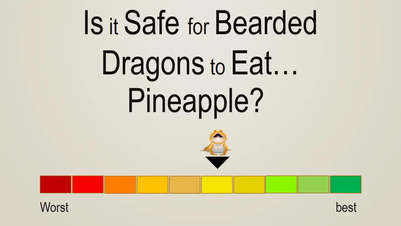 Is it Safe for Bearded Dragons to Eat Pineapple