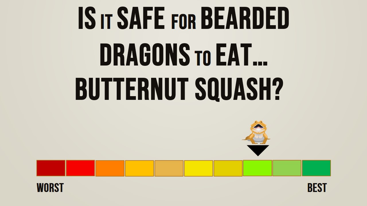 Is it safe for bearded dragons to eat butternut squash