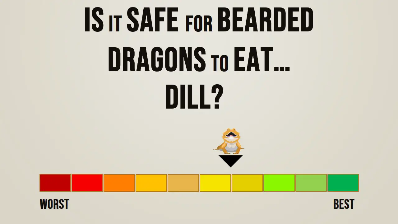 Is it safe for bearded dragons to eat dill