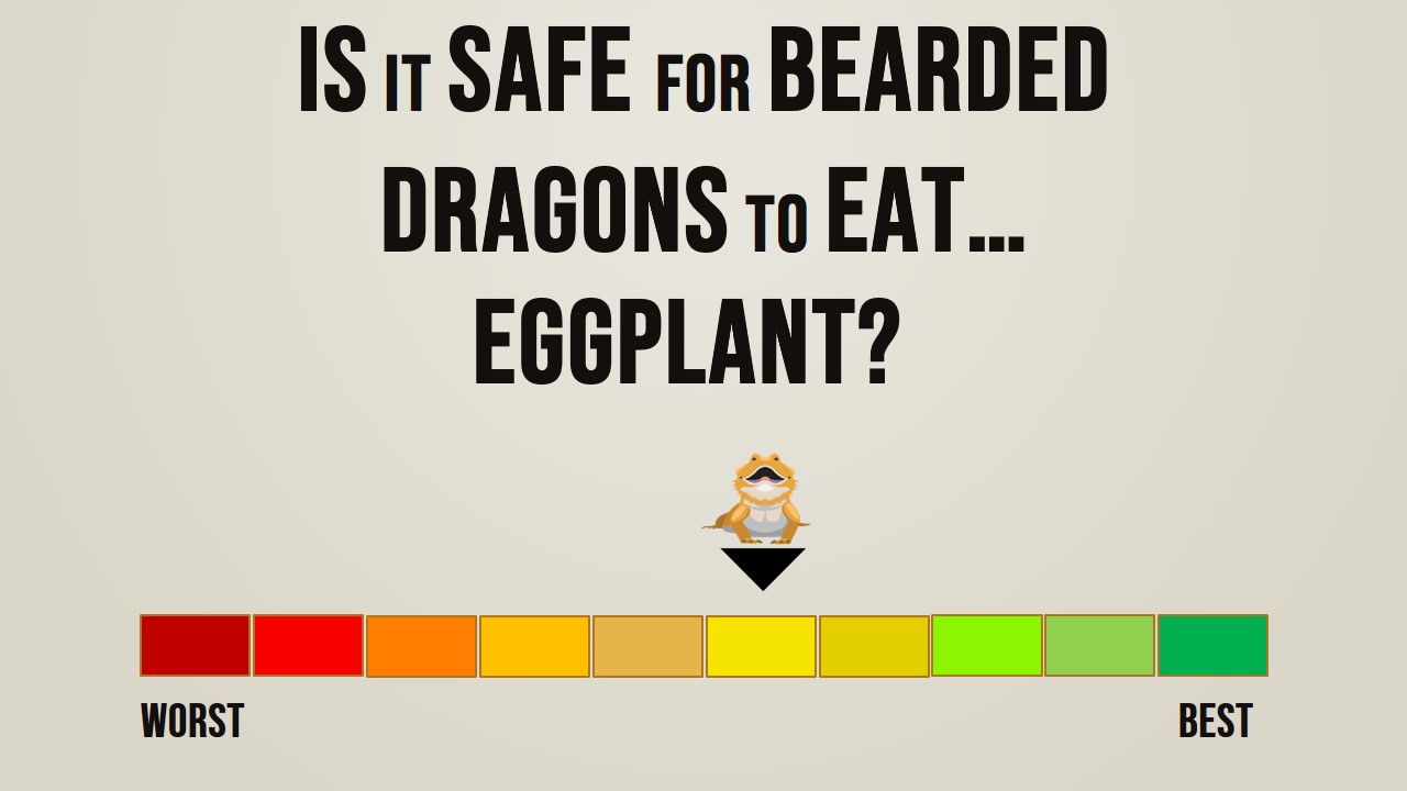 Is it safe for bearded dragons to eat eggplant