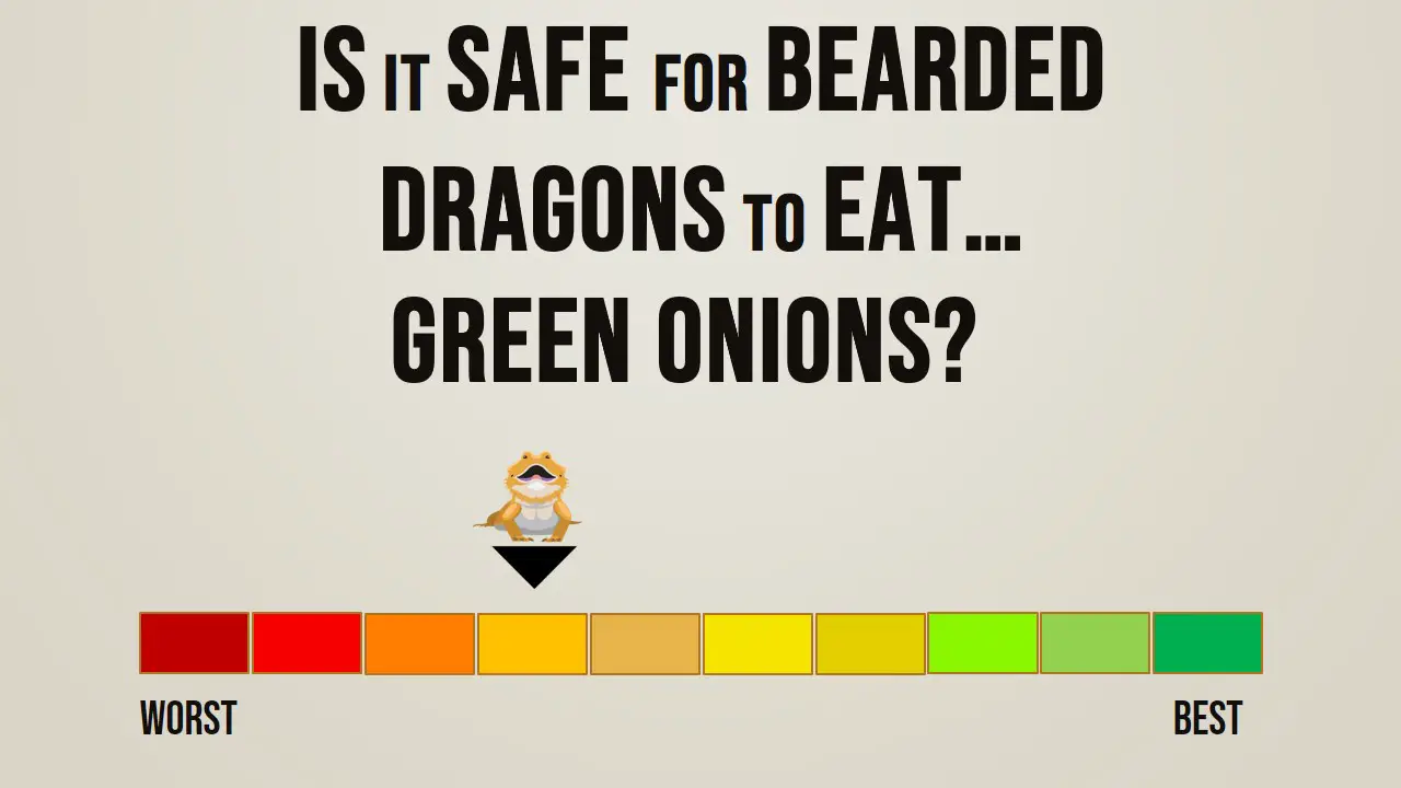 Is it safe for bearded dragons to eat green onions