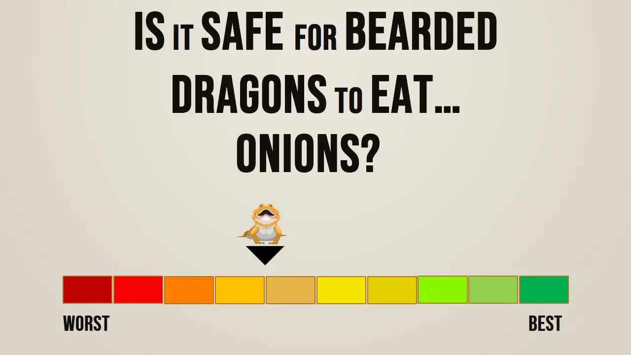 Is it safe for bearded dragons to eat onions