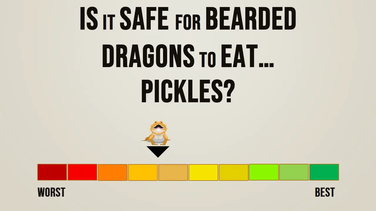 Is it safe for bearded dragons to eat pickles