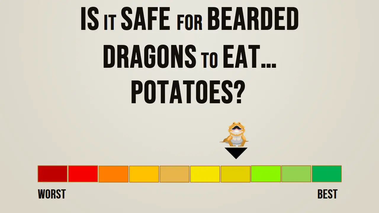 Is it safe for bearded dragons to eat potatoes