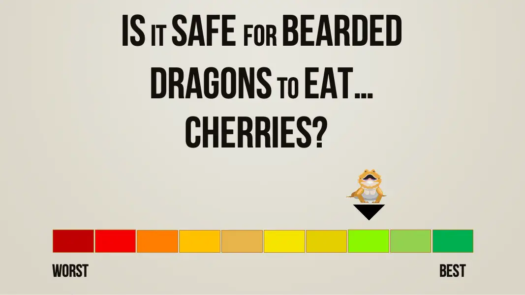 is it safe for bearded dragons to eat cherries