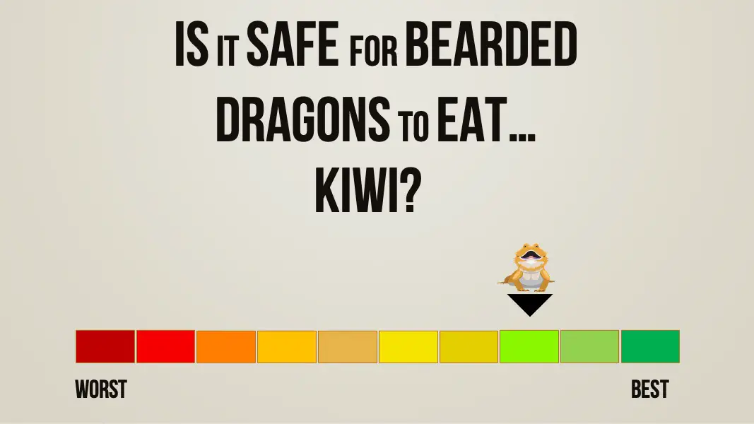 is it safe for bearded dragons to eat kiwi