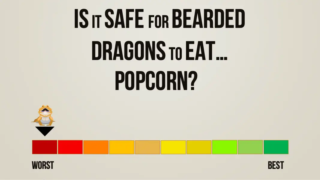 is it safe for bearded dragons to eat popcorn