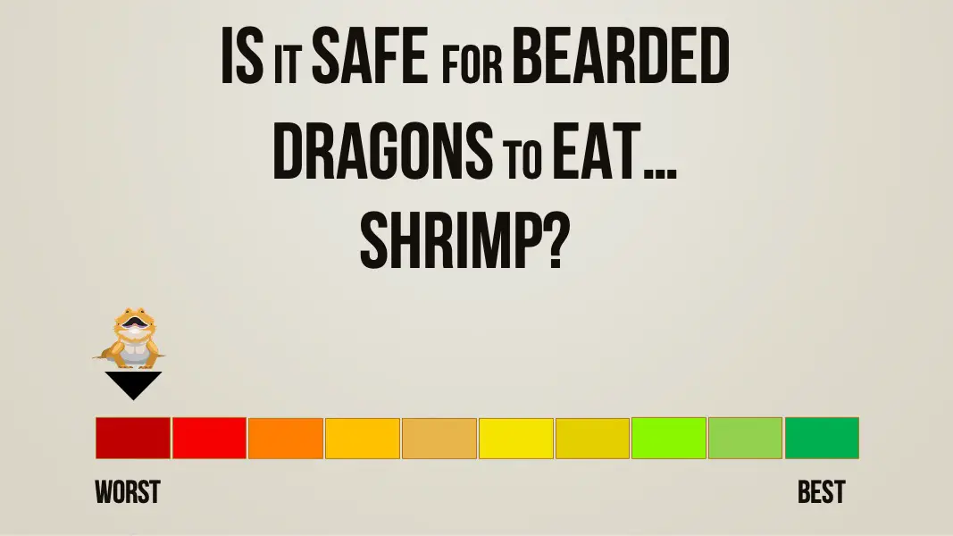 is it safe for bearded dragons to eat shrimp