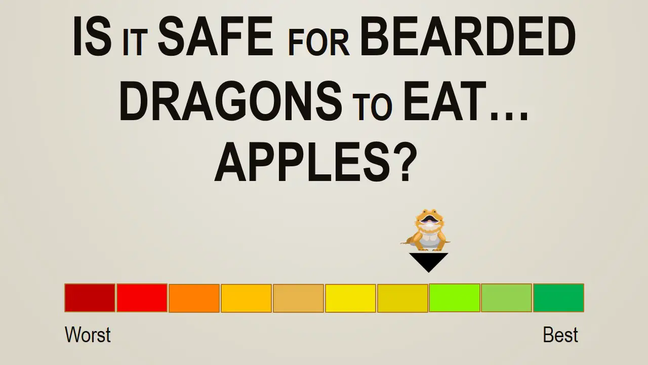 Is it Safe for Bearded Dragons to Eat Apples