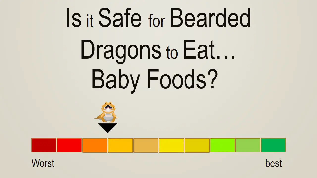 Is it Safe for Bearded Dragons to Eat Baby Foods