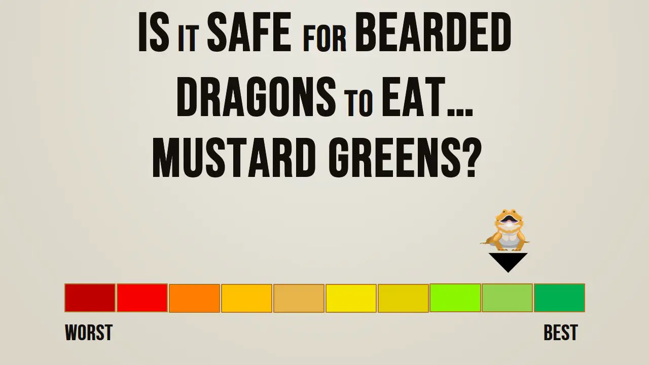 Is it Safe for Bearded Dragons to Eat Mustard Greens