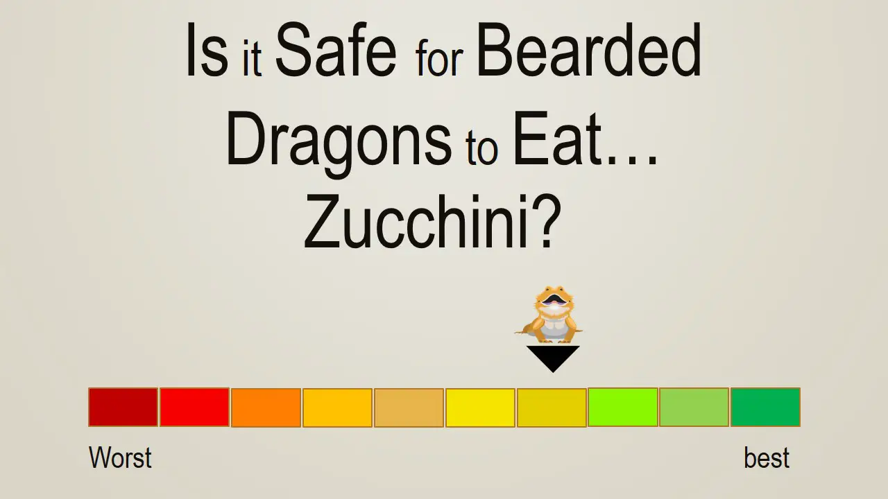 Is it Safe for Bearded Dragons to Eat Zucchini