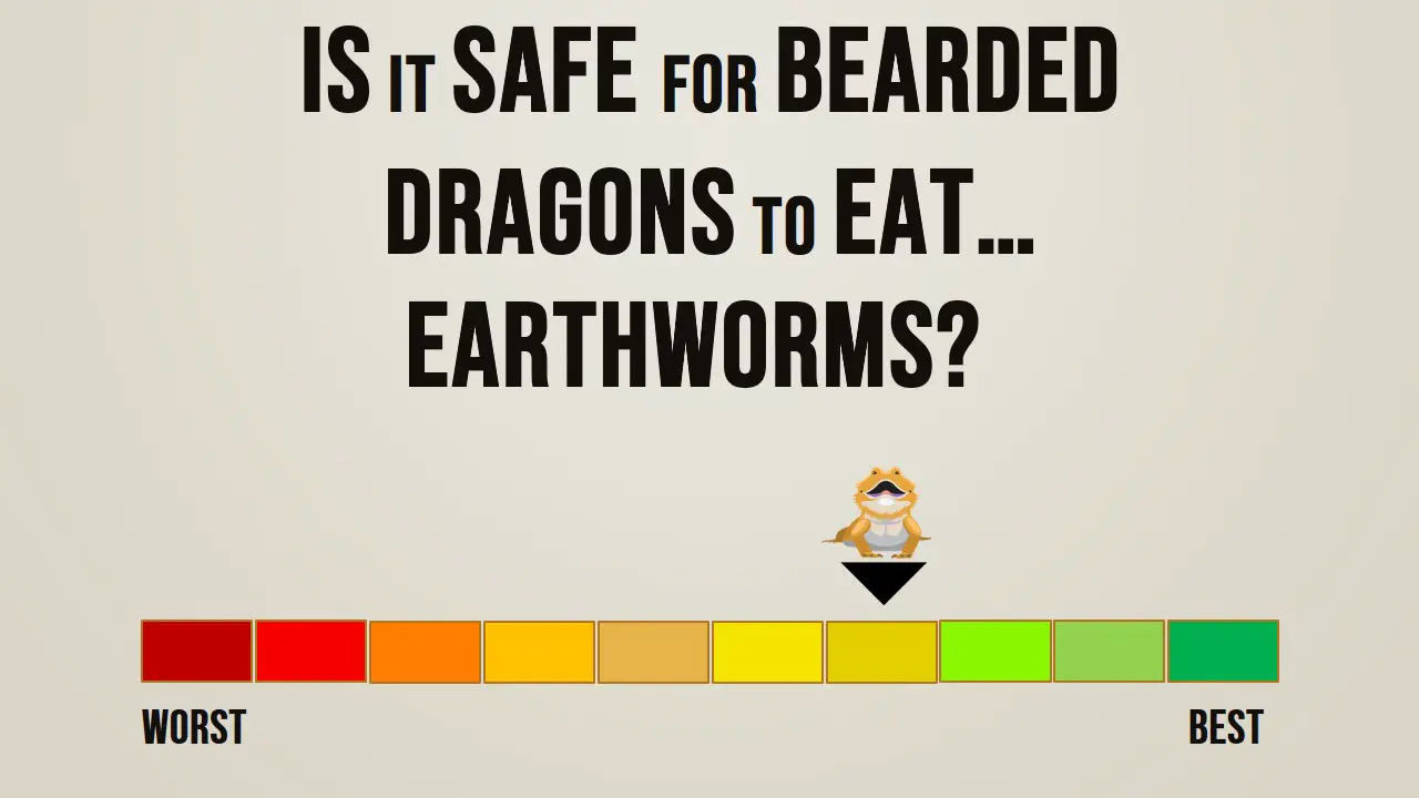 Is it Safe for Bearded Dragons to Eat Earthworms