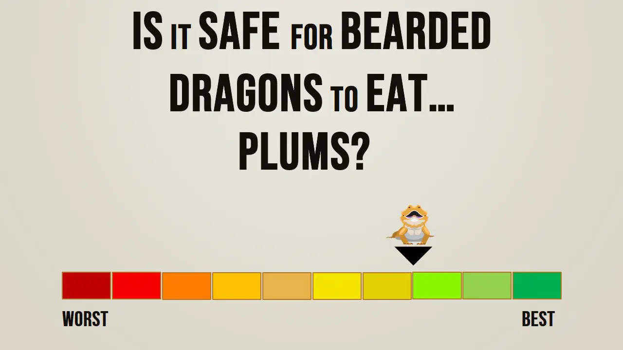 Is it safe for bearded dragons to eat plums