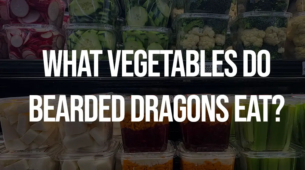 what vegetables do bearded dragons eat